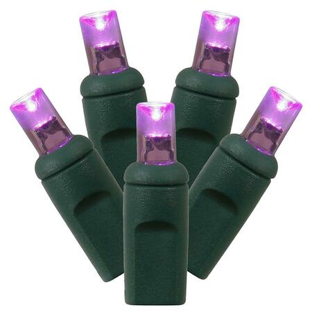 VICKERMAN LED Green Wire End Connecting 6 in. Spacing 35 ft. Long Light Set with Purple Lights X6G2706CSA